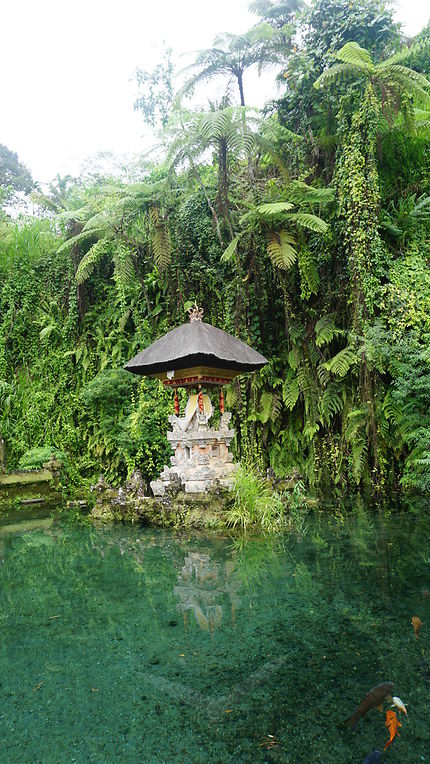 Découverte de l’île de Bali