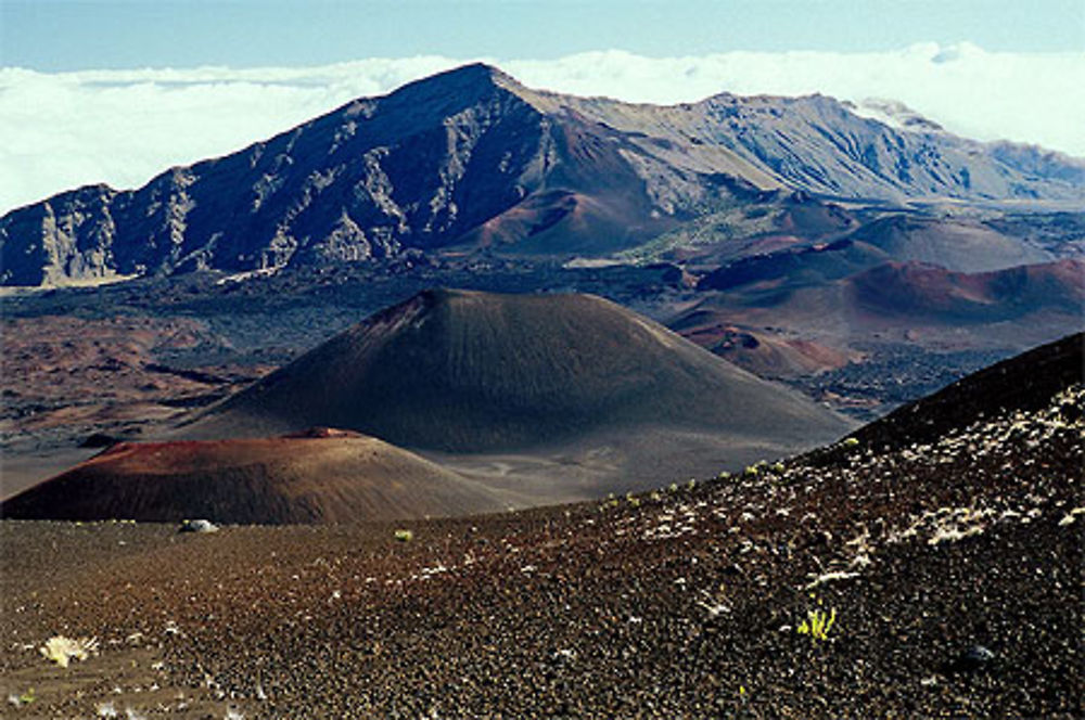 Haleakala