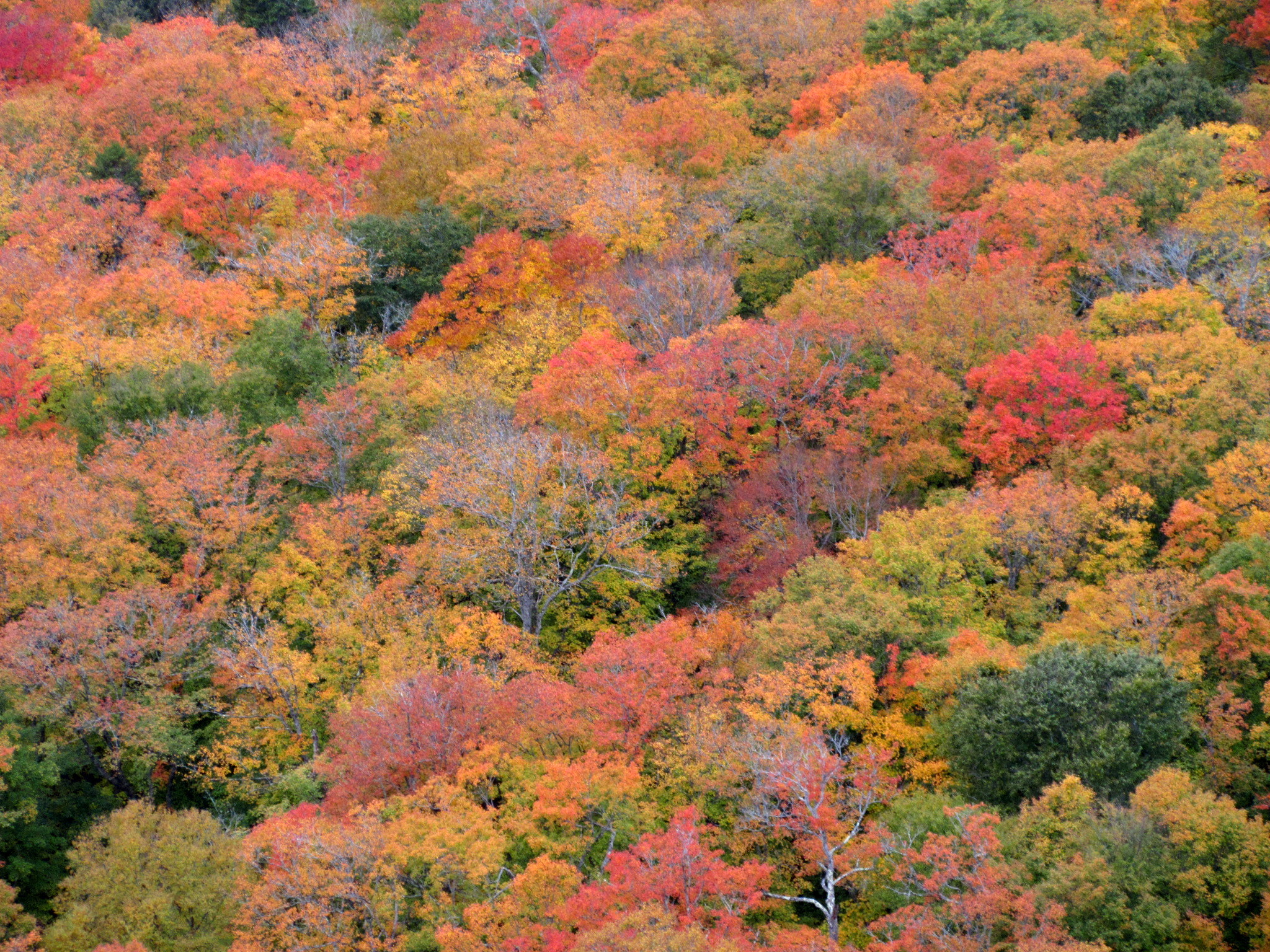 Eté indien au Parc national du Mont-Tremblant