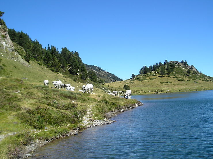 Ariège - jorozay
