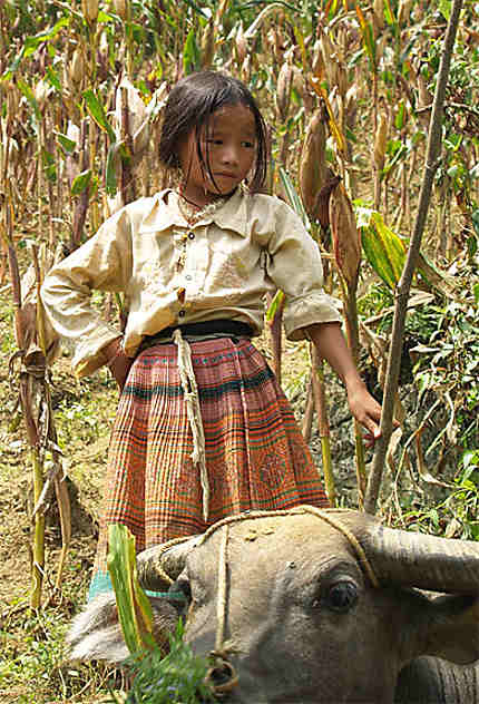 Enfant Hmong Fleur