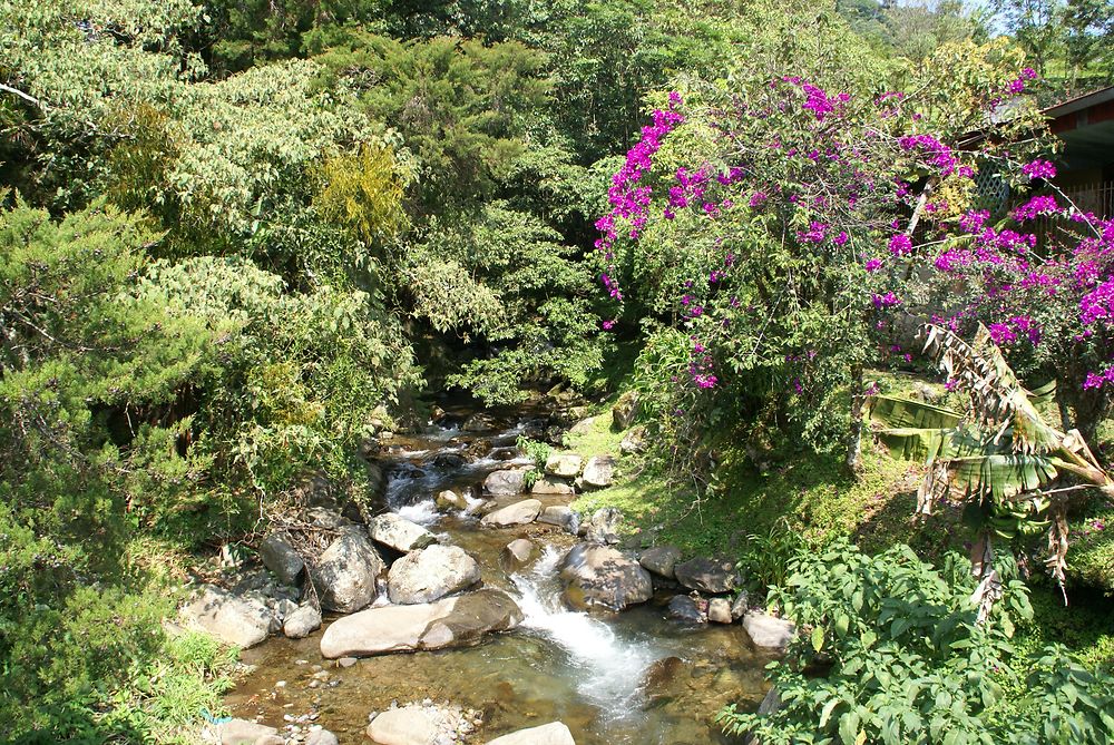 Fraîcheur à Boquete, Panama