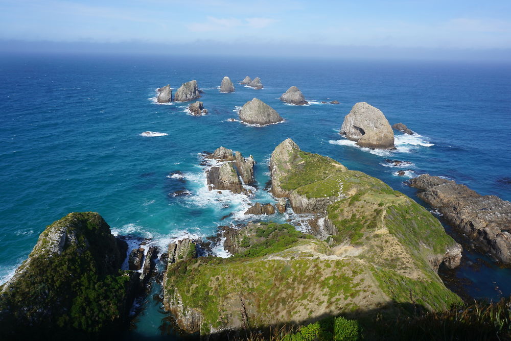 Nugget Point en Nouvelle-Zélande