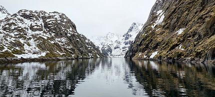 Trollfjord 