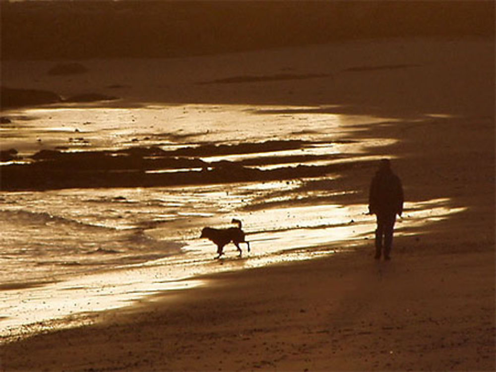 Ballade sur la plage de Villès Martin