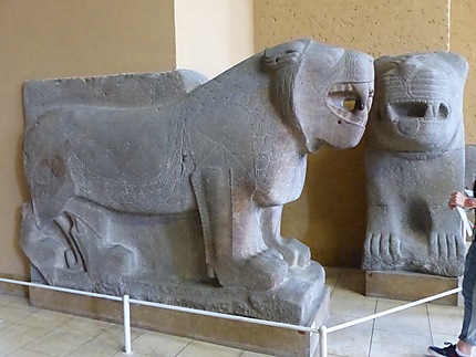 Lions sculptés en basalte