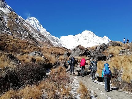 Trekking au Népal 