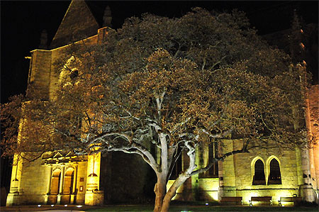 Eglise St Malo Eglise St Malo