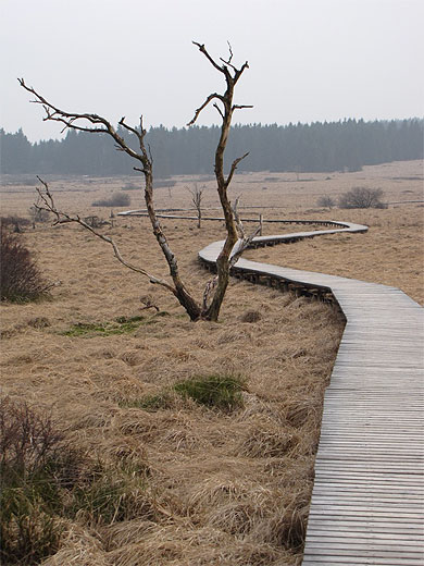 Suivez le chemin Suivez le chemin