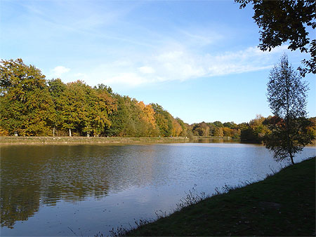 Etang de la Moutonnerie Etang de la Moutonnerie