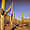 cactus de saguaro NP
