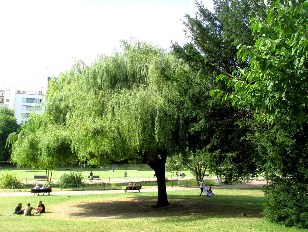 Parc Frédéric Pic