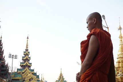 Moine bouddhiste dans la ville de Yangon