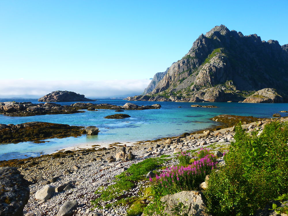 Plage du Nord à Henningsvaer