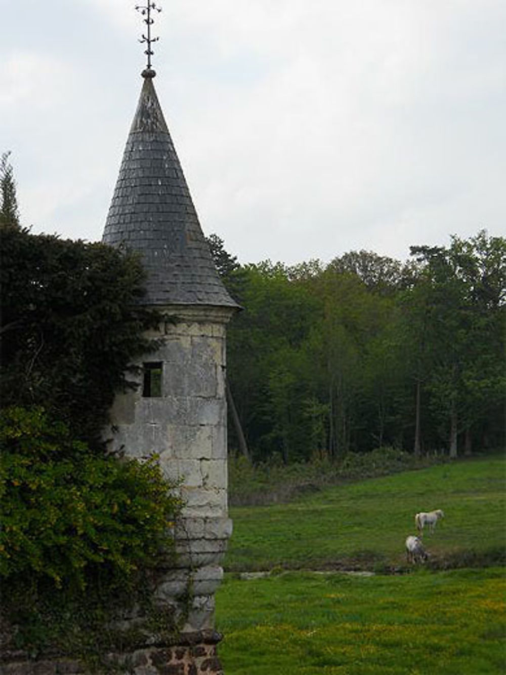 Percherons à Frazé, Eure-et-Loir