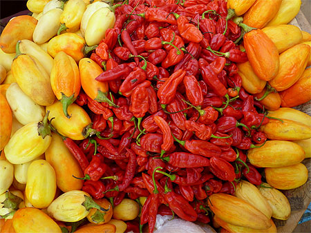 Piments doux et piments forts Piments doux et piments forts