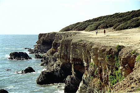 FALAISES à JARD_SUR_MER FALAISES à JARD_SUR_MER