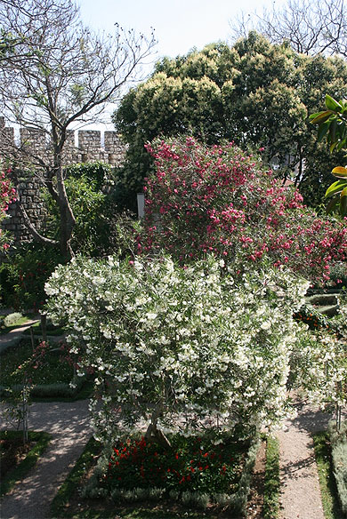Jardin du château Jardin du château