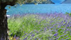 Le Tessin, balade en Suisse italienne