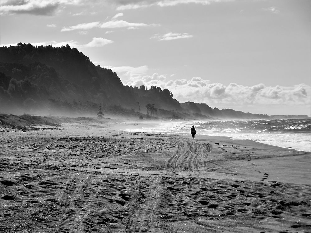 A Stroll on the beach