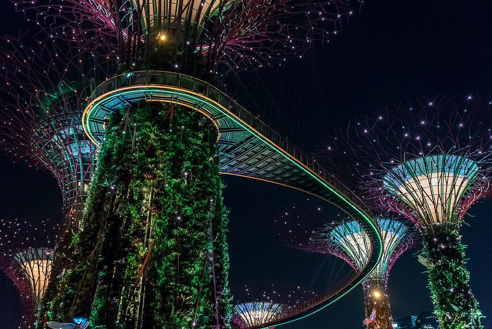 Gardens by the bay