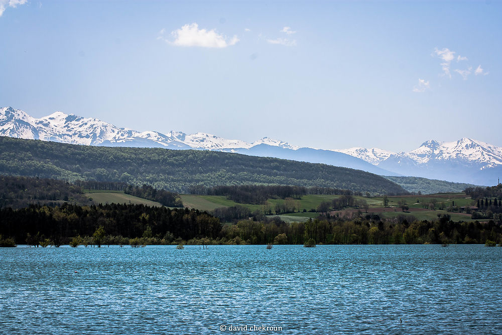 Lac de Montbel