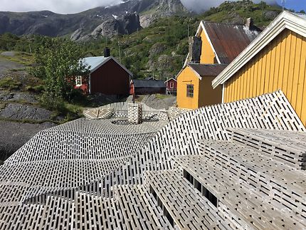 Jacuzzi et bain de soleil à Nusfjord