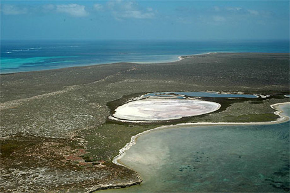 Abrolhos  Islands