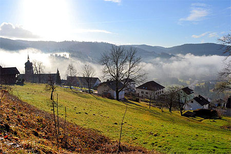 Le Tholy : automne Le Tholy : automne