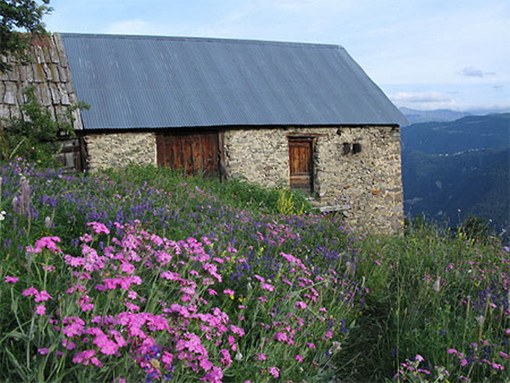 Vue d'un chalet d'alpage près du plan du tenibre