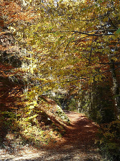 Paysages d'automne Paysages d'automne