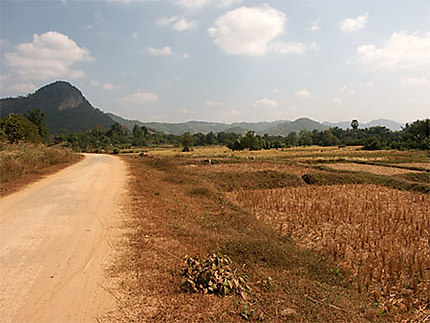 Plaine de rizière aux alentours de Chiang Khan