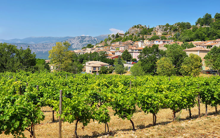 Vins de Provence : 7 appellations à déguster des Baux-de-Provence à Nice