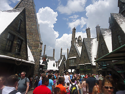 La foule chez Harry Potter