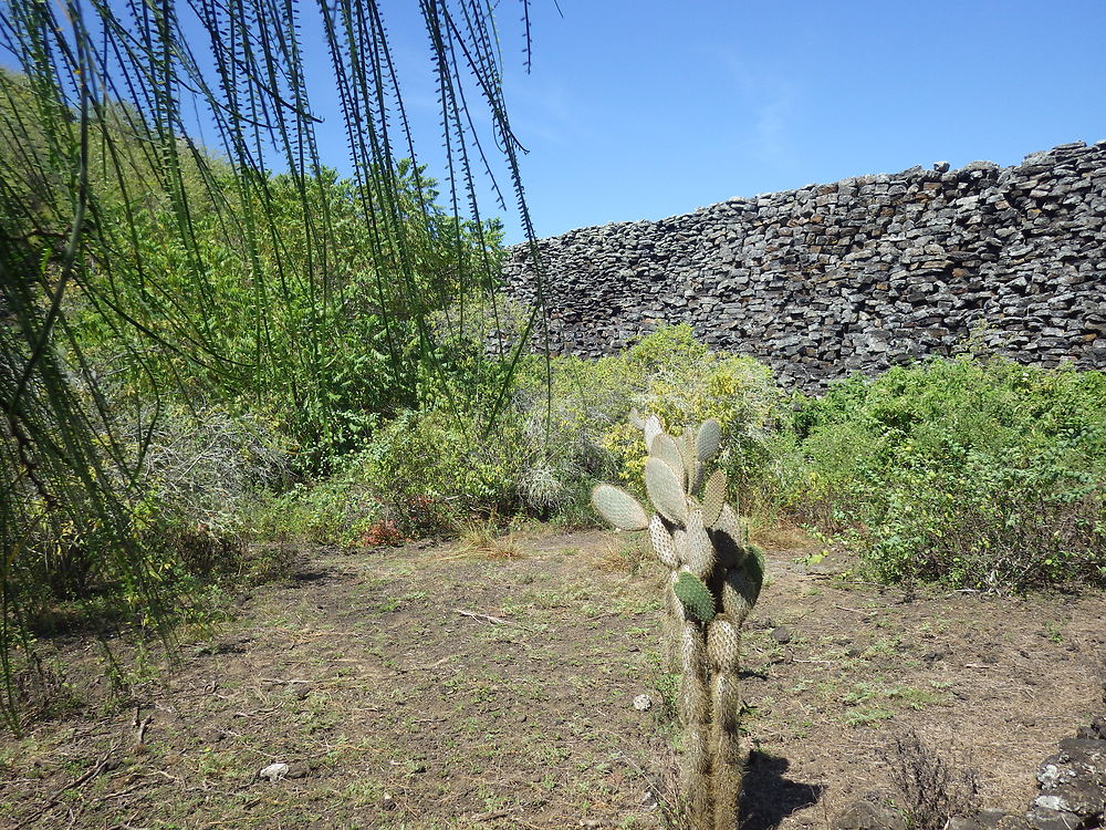 El Muro de las Lagrimas