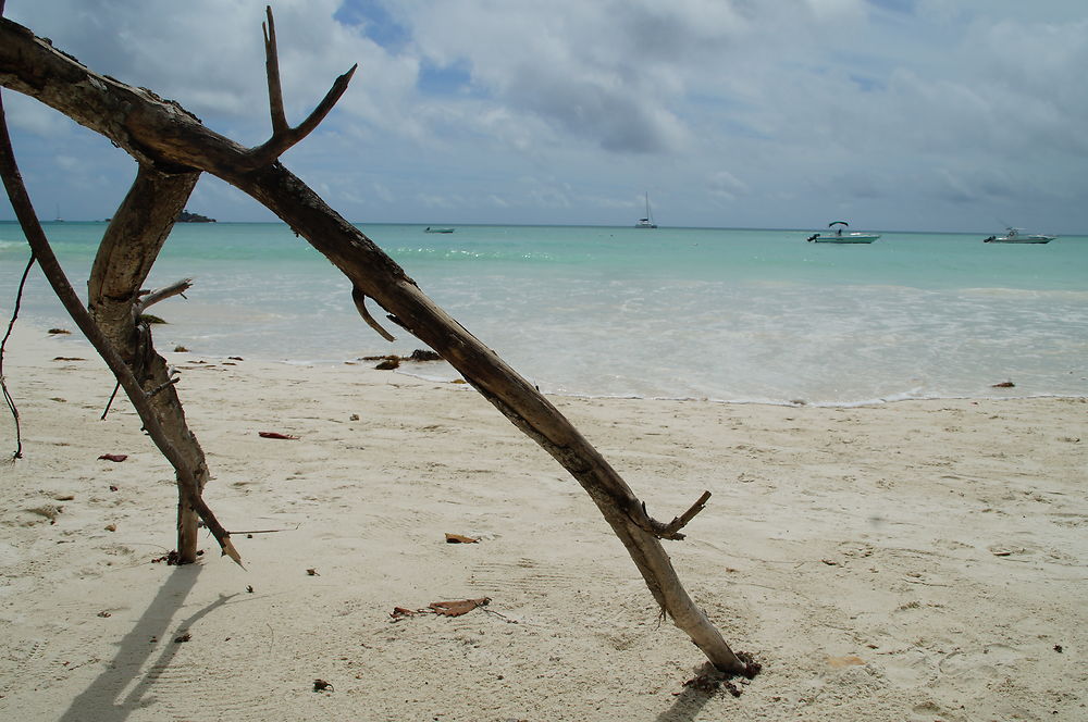 Merveilleuse plage