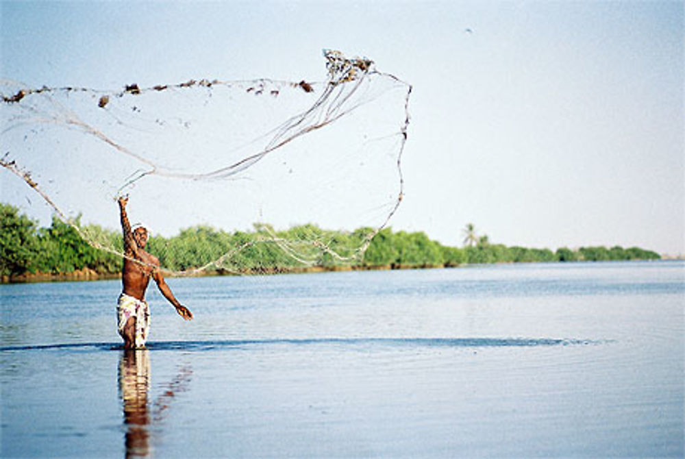 Pêcheur à l'épervier