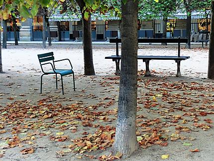 L'automne au jardin du Palais Royal