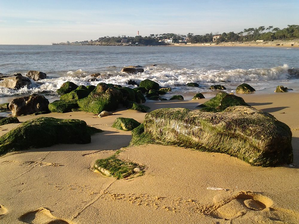 Plage du Platin