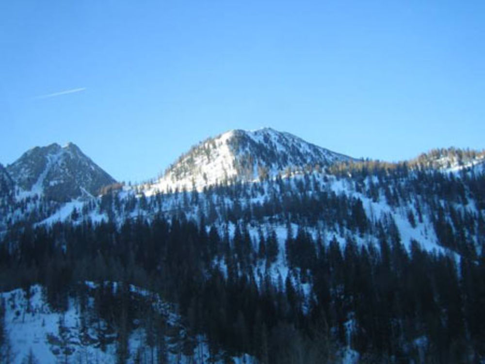 Montagnes et sapins enneigés