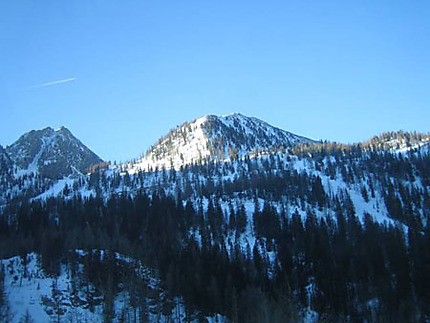 Montagnes et sapins enneigés