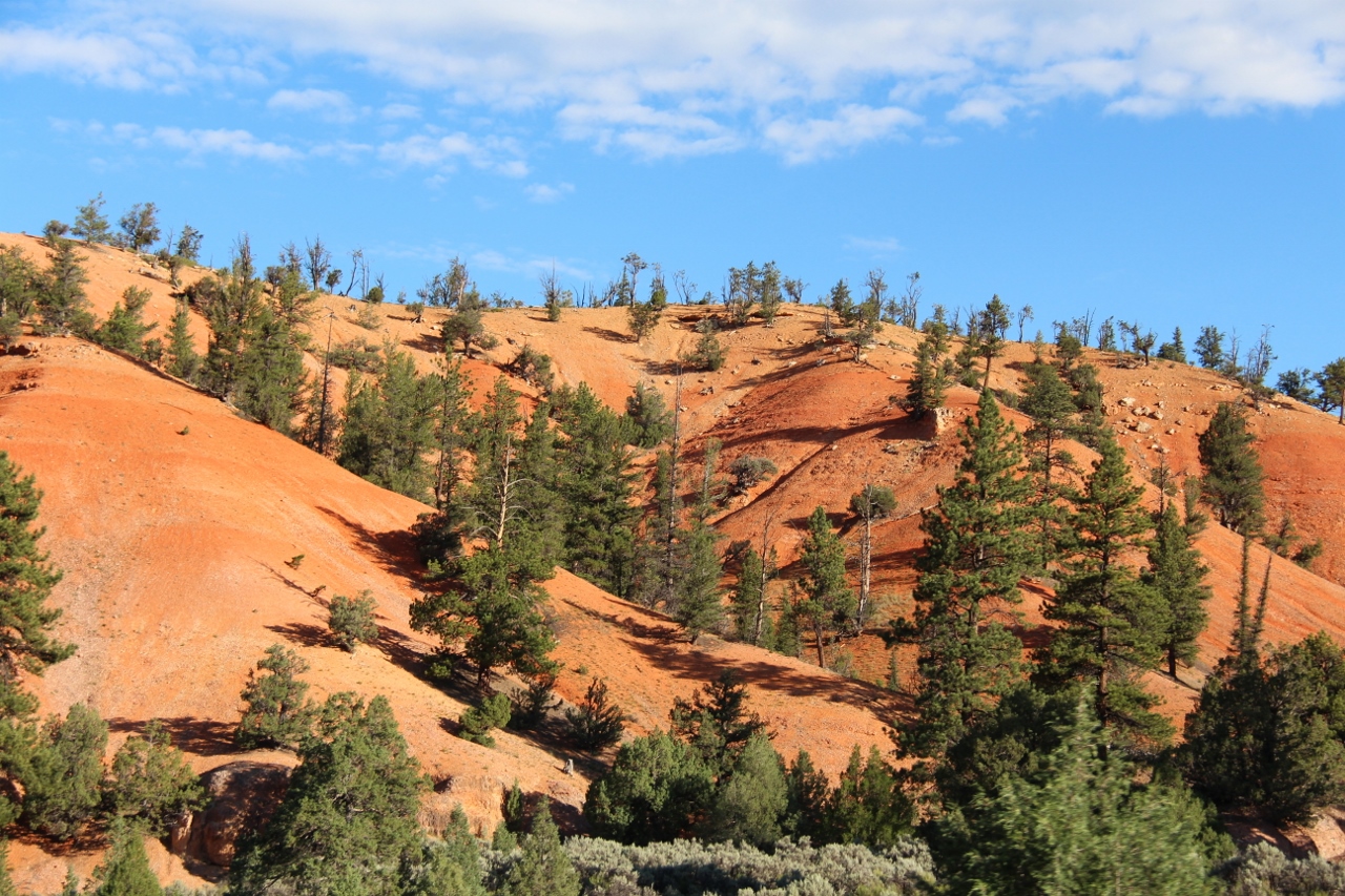 Red Canyon Red Canyon