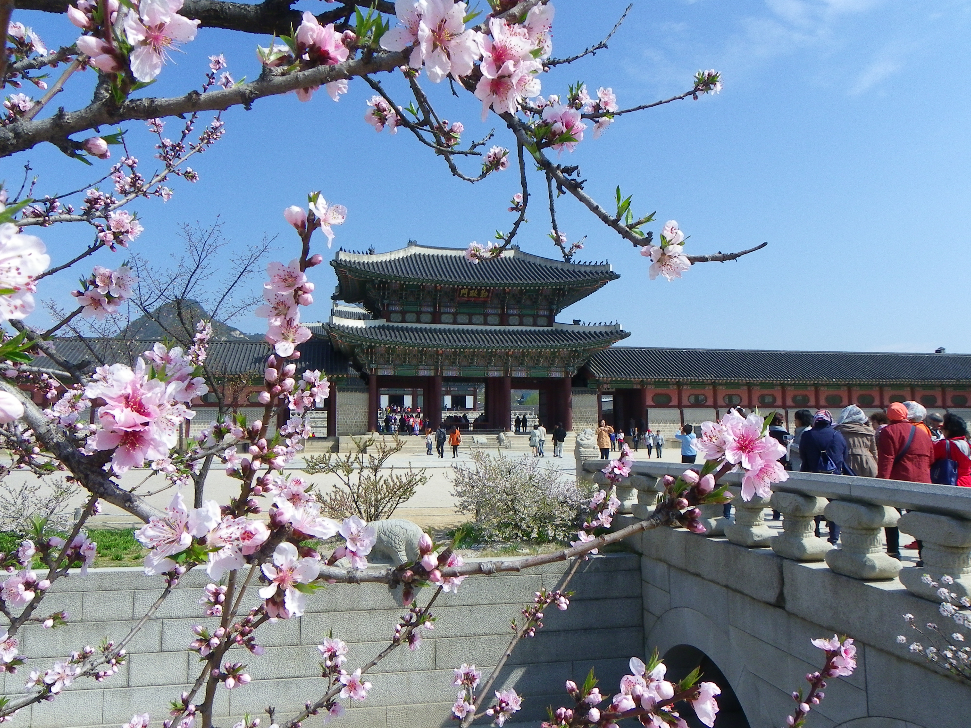 Palais de Gyeongbokgung à Séoul Palais de Gyeongbokgung à Séoul