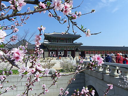 Palais de Gyeongbokgung à Séoul