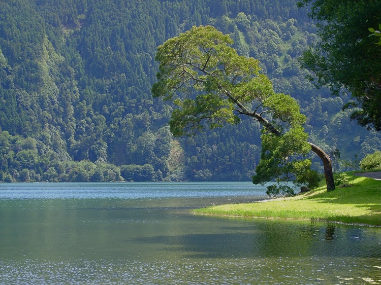 Lagoa Verde Lagoa Verde