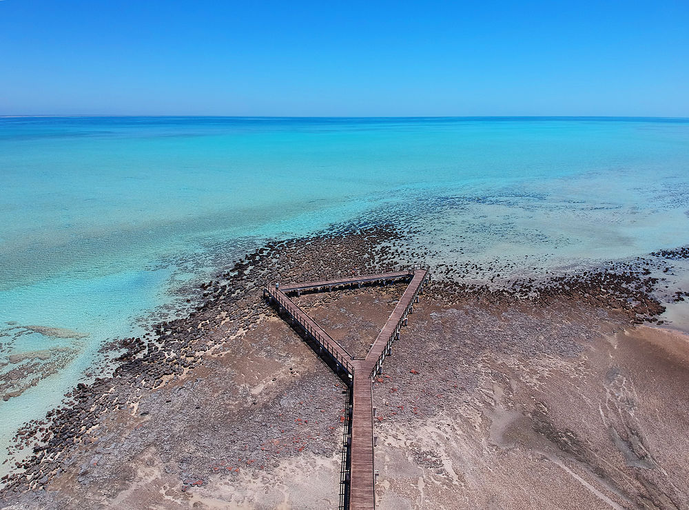 Stromatholites