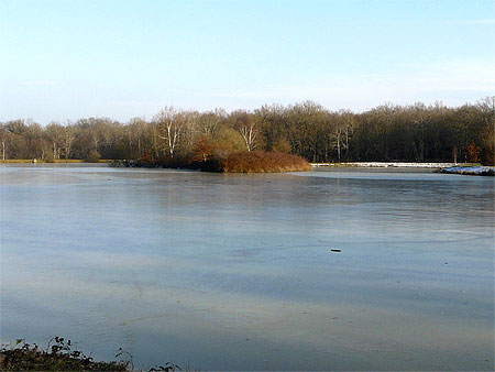 Etang gelé Etang gelé