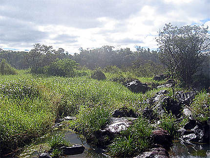 Humidité d'Iguazu