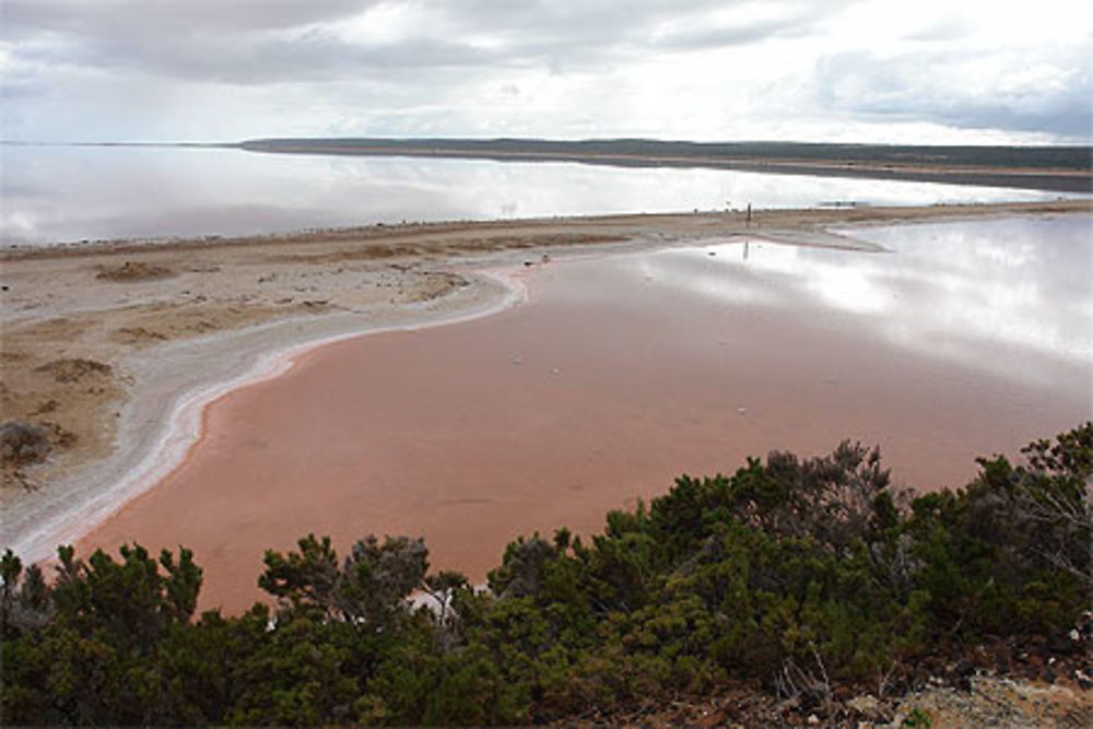 Pink lake