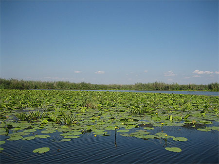 Lac du Delta Lac du Delta